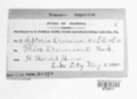 Image Associated With the Occurence